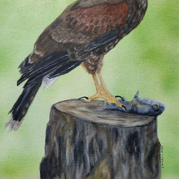 Hawk Fish Prey Acrylic Canvas Original Painting 9x12 Handmade - Picture 4 of 5